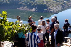 ribeira sacra