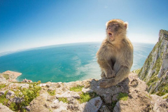 gibraltar-day-trip-from