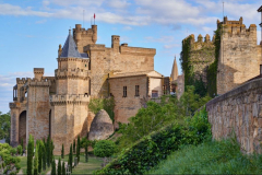 Parador de Olite_1