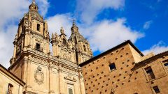 spain-salamanca-cathedral-shells